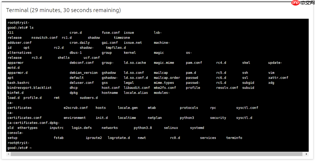 在线运行 Linux，强的离谱！