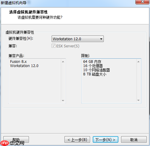 Kali安装教程(VMWare)