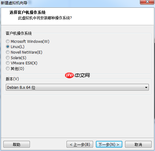 Kali安装教程(VMWare)