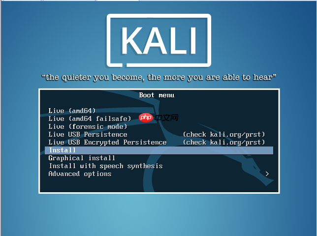 Kali安装教程(VMWare)