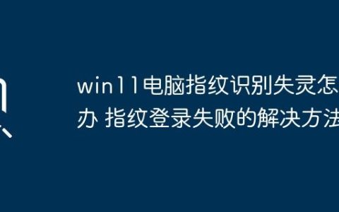 win11电脑指纹识别失灵怎么办 指纹登录失败的解决方法