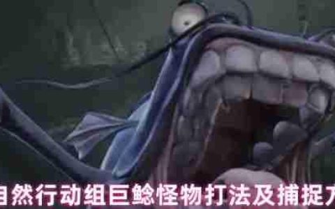 超自然行动组巨鲶终极狩猎指南：疾影捕捉与战术破解