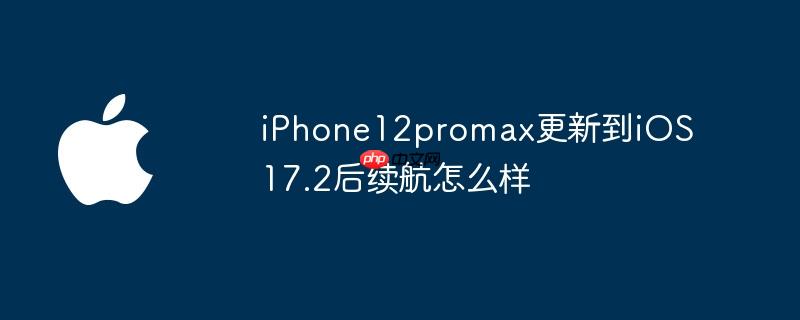 iPhone12promax更新到iOS 17.2后续航怎么样