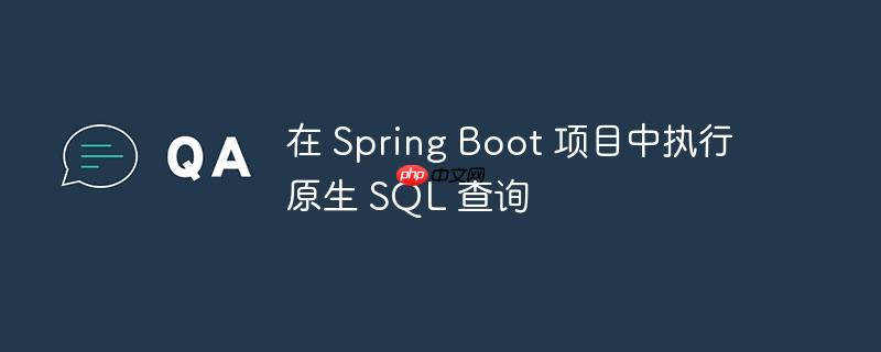 在 spring boot 项目中执行原生 sql 查询