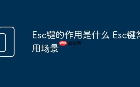 Esc键的作用是什么 Esc键常用场景