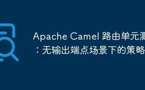 Apache Camel 路由单元测试：无输出端点场景下的策略