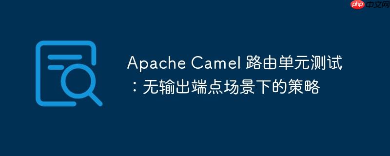 Apache Camel 路由单元测试:无输出端点场景下的策略