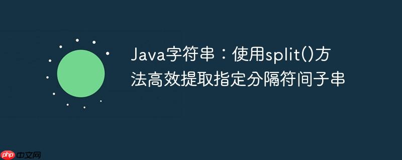 Java字符串:使用split()方法高效提取指定分隔符间子串