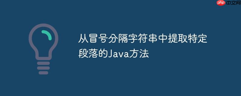 从冒号分隔字符串中提取特定段落的Java方法