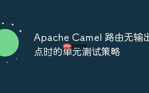 Apache Camel 路由无输出端点时的单元测试策略