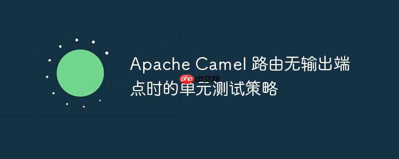 Apache Camel 路由无输出端点时的单元测试策略