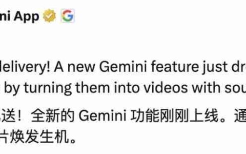 实测 Gemini 图片转视频新功能，终于蹲到经典梗图后续了（doge）