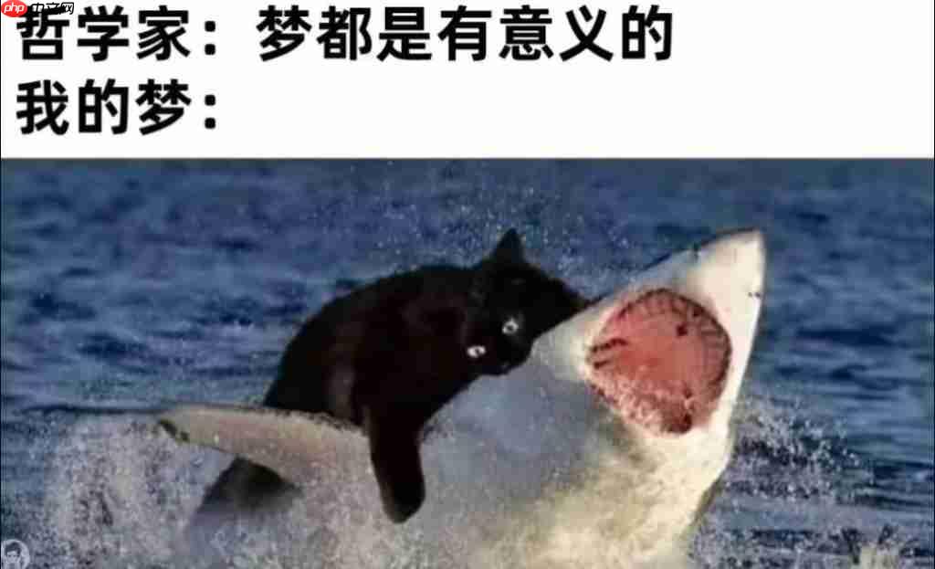  实测 Gemini 图片转视频新功能，终于蹲到经典梗图后续了（doge）