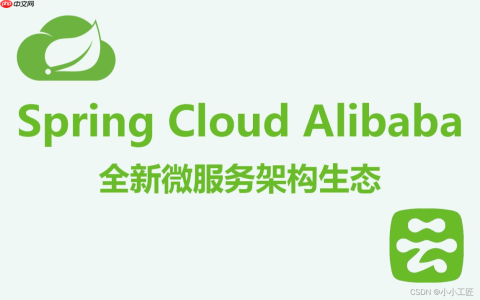 Spring Cloud Alibaba – 16 Nacos 注册中心源码 （上）