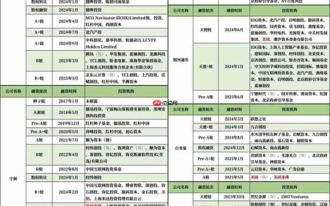 美团王兴，中国具身智能第一投资人