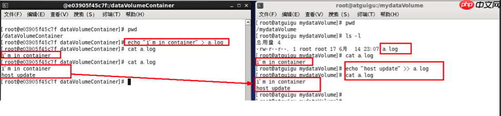 Docker之容器数据卷
