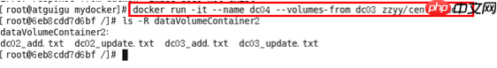 Docker之容器数据卷