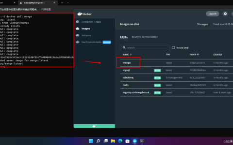 【愚公系列】2022年05月 Docker容器 Windows11上MongoDB的安装