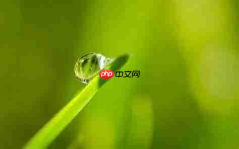 生活中的科学（一）——表面张力