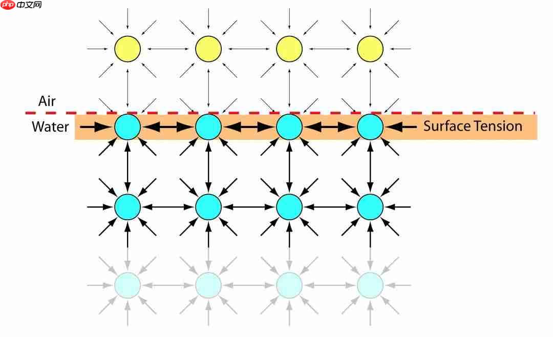 生活中的科学（一）——表面张力