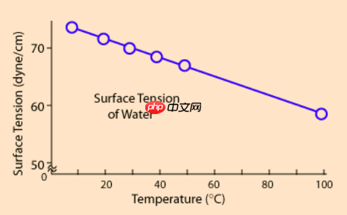 生活中的科学（一）——表面张力