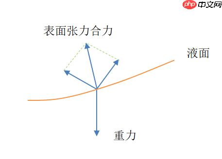 生活中的科学(一)——表面张力