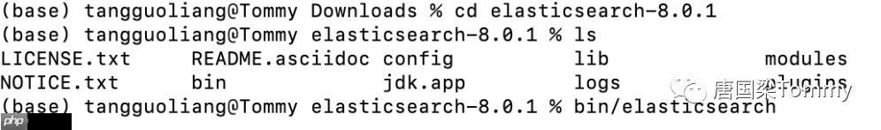 Elasticsearch基于Mac的安装指南