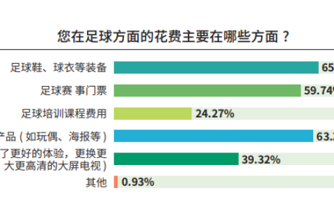 《中国足球环境及未来发展白皮书（2025）》发布：100吋大屏电视成标配