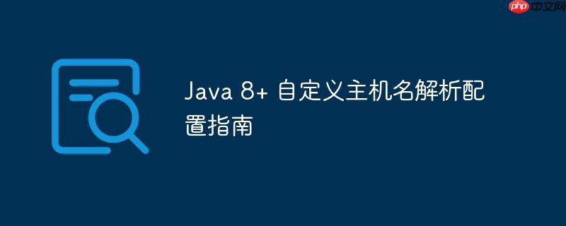 Java 8+ 自定义主机名解析配置指南