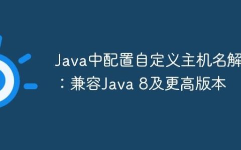 Java中配置自定义主机名解析：兼容Java 8及更高版本