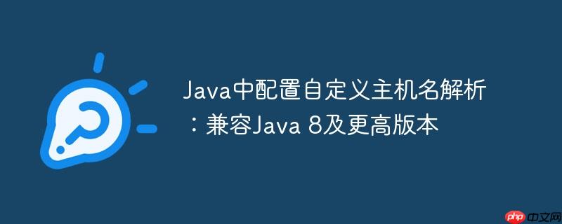Java中配置自定义主机名解析:兼容Java 8及更高版本