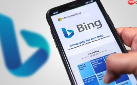 Bing浏览器账号同步失败解决 Bing浏览器数据备份恢复步骤