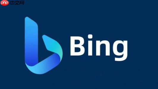 Bing浏览器页面缩放记忆失效解决 Bing浏览器显示偏好保存方法