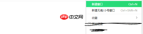 360浏览器怎么分屏同时看 同时开多个窗口技巧