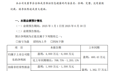 全球化卡牌+战略成了 游族网络：上半年净利暴增最高12倍