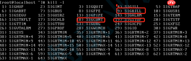 【Linux】解析信号的本质&相关函数及指令的介绍