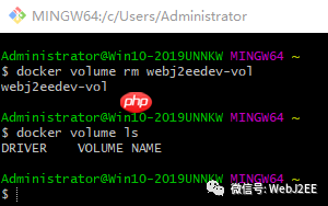 【Docker】:Docker 数据管理 - Volumes & Bind Mounts