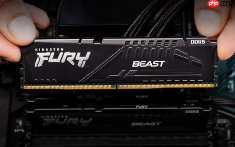 生产力效能跃升 金士顿DDR55600内存