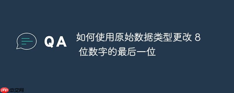 如何使用原始数据类型更改 8 位数字的最后一位