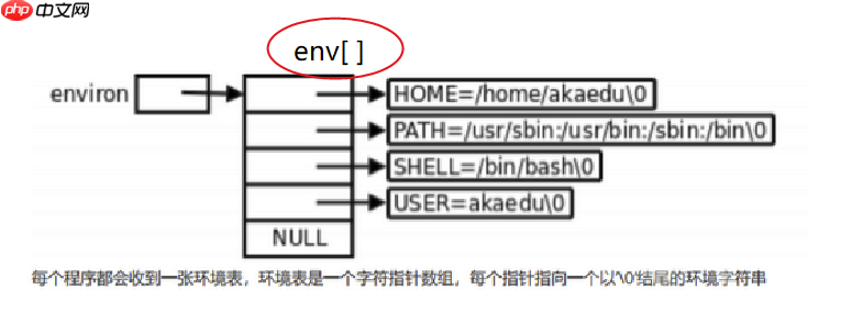 【Linux】环境变量常见指令操作&基本实验(入门必看!)