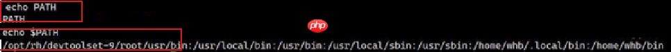 【Linux】环境变量常见指令操作&基本实验(入门必看!)