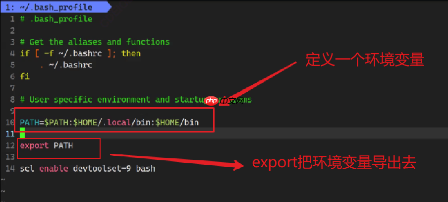 【Linux】环境变量常见指令操作&基本实验(入门必看!)