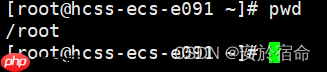 初始Linux（上）
