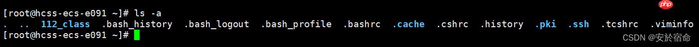 初始Linux（上）