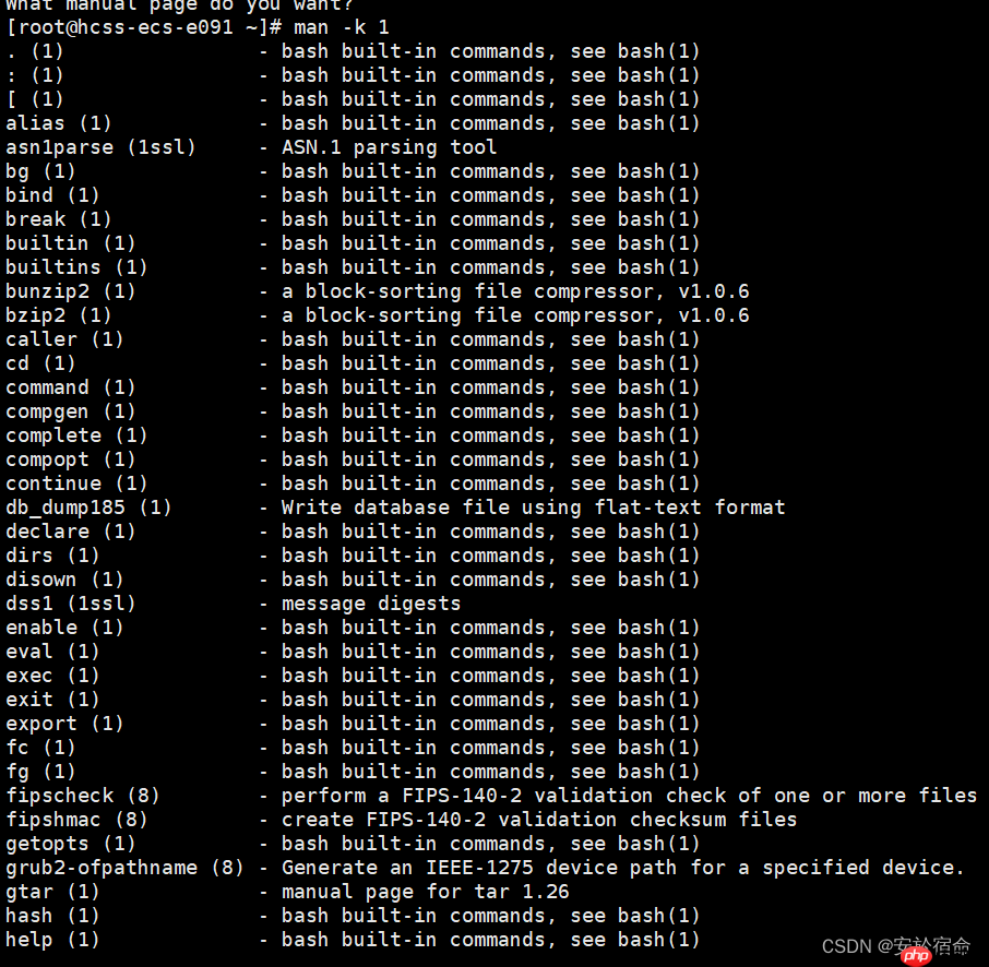 初始Linux（上）