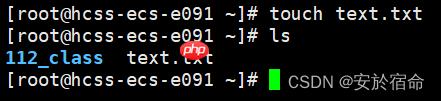 初始Linux（上）