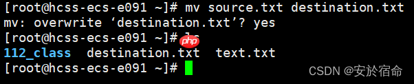 初始Linux（上）