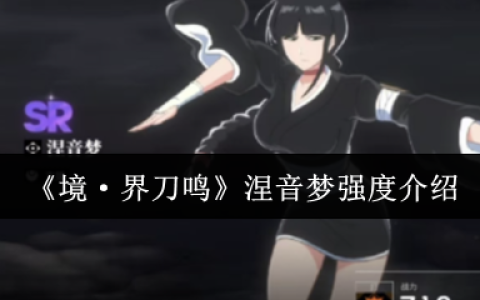 境界刀鸣涅音梦全解析：双形态辅助核心与爆发增益大师