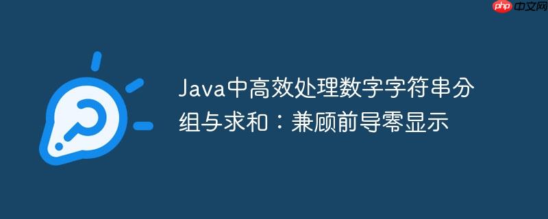 Java中高效处理数字字符串分组与求和:兼顾前导零显示