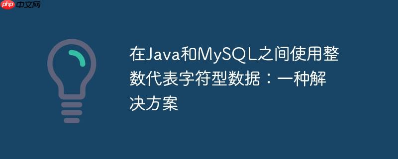 在java和mysql之间使用整数代表字符型数据:一种解决方案